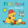 Find_Spot_at_the_beach